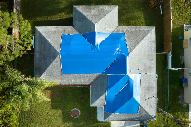 Best Asphalt Shingles Roofing  in Haslet, TX